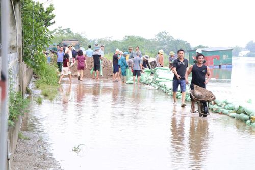 Nhiều vị trí đê Bùi 2 đã được nhân dân xã Xuân Mai tôn cao, chống lũ sông Bùi tràn vào khu dân cư, đồng ruộng. Ảnh: Hoàng Tình