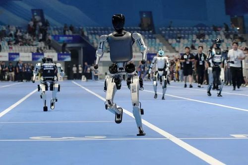 Tại Sân trượt băng tốc độ quốc gia Bắc Kinh, Đại hội Thể thao Robot Thế giới lần thứ 2 đã diễn ra với nhiều diễn biến bất ngờ. Ảnh: Reuters.