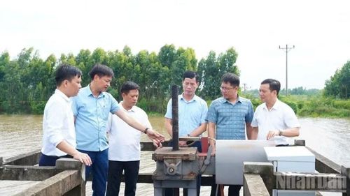 Kiểm tra công tác tiêu thoát nước tại phường Tam Sơn. (Ảnh: A.T)