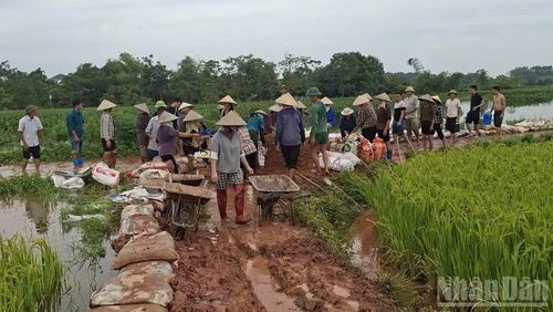 Người dân xã Phúc Hòa tháo nước chống úng. (Ảnh: A.T)