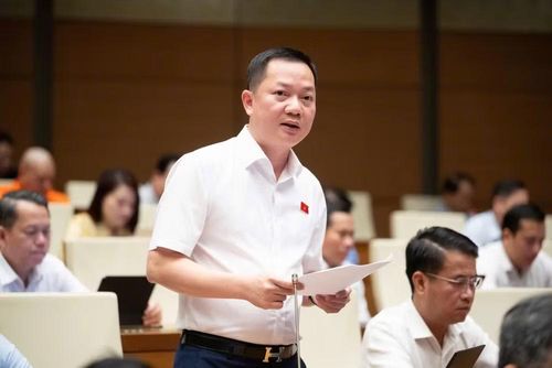 Đại biểu Quốc hội Trịnh Xuân An.