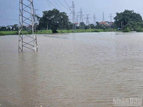 Sở Xây dựng Hà Nội cho biết: Ủy ban nhân dân các xã ngập nước chuẩn bị các tuyến đường thay thế để hạn chế ảnh hưởng đến hoạt động đi lại, sản xuất và đời sống của người dân. (Ảnh: Trung Nguyên)