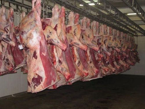Việt Nam nhập lượng lớn thịt trâu từ Ấn Độ.