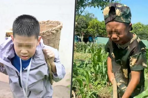 Sự vất vả của công việc đồng áng khiến nhiều trẻ bật khóc xin về.