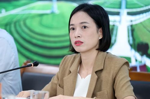 Bà Phạm Thị Miền - Phó Viện trưởng Viện Nghiên cứu đánh giá thị trường Bất động sản Việt Nam.