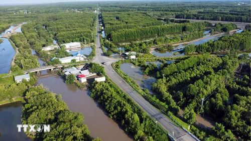Cà Mau phát triển 50.000 ha vùng nguyên liệu cua biển. (Ảnh: Huỳnh Anh/TTXVN)