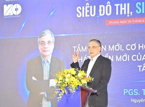 PGS.TS Trần Đình Thiên, nguyên Viện trưởng Viện Kinh tế Việt Nam, phát biểu tại diễn đàn.
