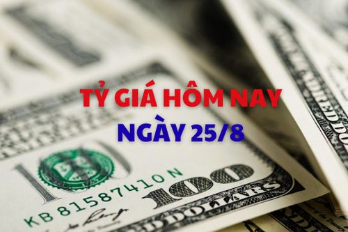 Tỷ giá hôm nay 25/8