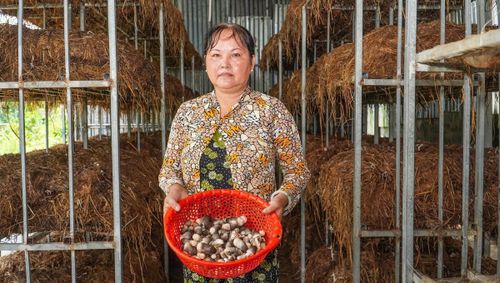 Sản phẩm nấm rơm của gia đình chị Tươi đang được hỗ trợ xây dựng sản phẩm OCOP tạo thương hiệu nấm rơm Vị Thanh 1 - Ảnh Hoàng Tuấn