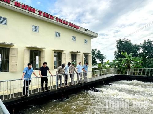 Vận hành các trạm bơm tiêu úng.