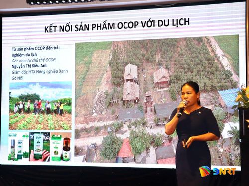 Đại diện Hợp tác xã Nông nghiệp xanh Gò Nổi phát biểu tham luận tại hội thảo. Ảnh: QUỐC TUẤN