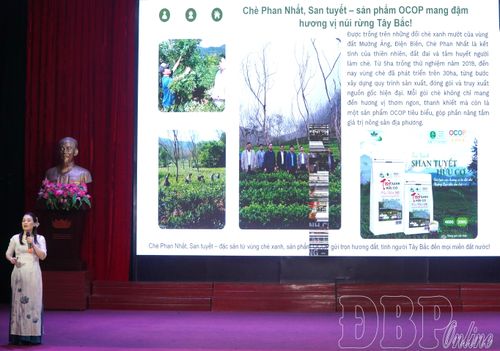 Phần thi thuyết trình. 