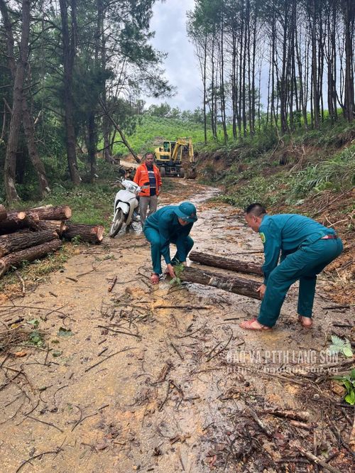 Chiến sĩ Dân quân xã dọn dẹp cây đổ tại các tuyến đường liên thôn