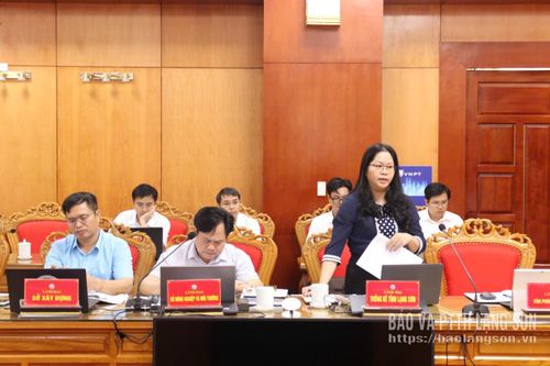 Lãnh đạo Thống kê tỉnh phát biểu tại cuộc làm việc