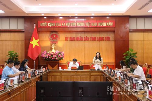 Đồng chí Trần Thanh Nhàn, Phó Chủ tịch UBND tỉnh phát biểu tại cuộc làm việc