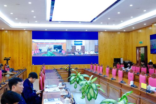 Đoàn công tác Ngân hàng Phát triển Châu Á làm việc trực tuyến với các cơ quan, đơn vị tỉnh Lâm Đồng