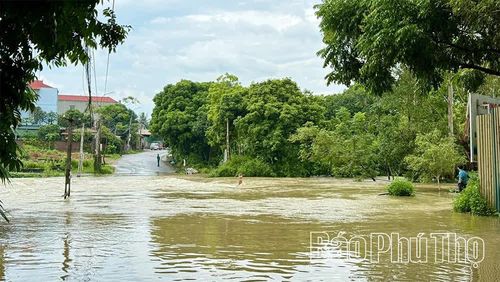 Ngày 24/8, khu vực cầu Công Binh ngập sâu từ 1-1,3m do ảnh hưởng của mưa lớn.
