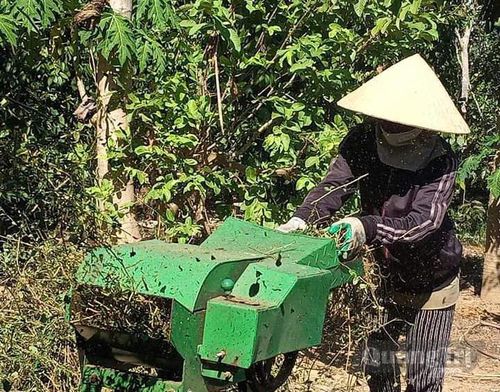 Các phụ phẩm nông nghiệp được sử dụng hiệu quả, góp phần phát triển nông nghiệp bền vững - Ảnh: L.M