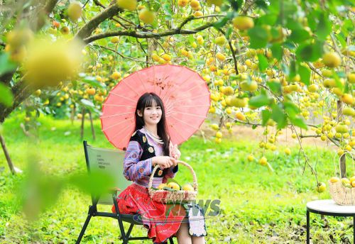 Du khách trong bộ trang phục dân tộc Mông nổi bật giữa vườn hồng chín.