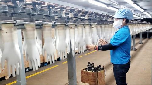 DN có vốn đầu tư nước ngoài tại KCN Phong Điền mong dự thảo Luật Hải quan sớm thông qua.