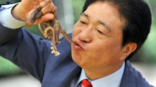 Món bạch tuộc sống được người Hàn Quốc yêu thích nhưng lại khá khó ăn với du khách. (Ảnh: Grunge)