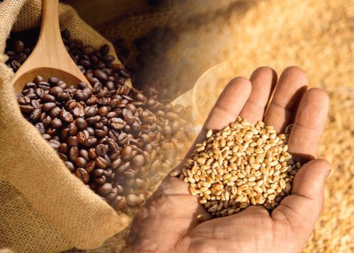 Nhu cầu giao dịch hàng hóa tăng mạnh thời gian qua. Ảnh: MXV