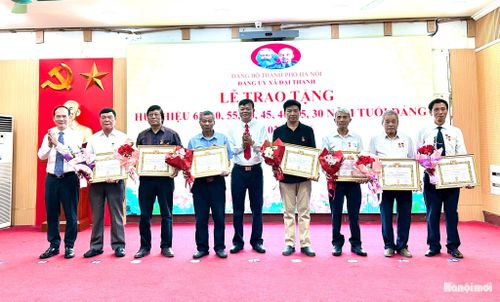 Chủ tịch Ủy ban MTTQ Việt Nam xã Đại Thanh Nguyễn Đình Hiếu trao Huy hiệu Đảng tặng đảng viên. Ảnh: Mai Duyên