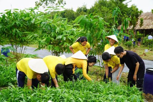 Mô hình biến rác thải hữu cơ thành giá trị kinh tế thu hút sự tham gia của cộng đồng. Ảnh: ĐSQ Đan Mạch