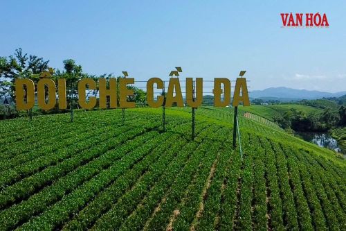 Nơi đây được du khách ví von là một trong những đồi chè đẹp nhất tỉnh Thái Nguyên, nổi bật với những triền chè xanh nối tiếp nhau