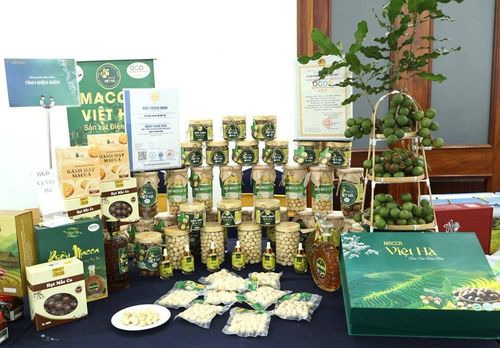 Các sản phẩm đặc trưng, sản phẩm OCOP của Điện Biên được trưng bày, giới thiệu tại hội nghị