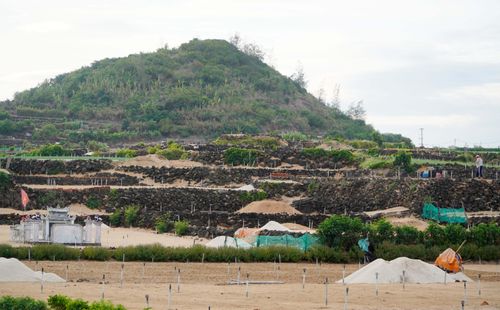 Cấu trúc các ruộng hành, tỏi Lý Sơn như những ruộng bậc thang ở Tây Bắc