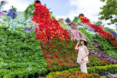  Du khách thích thú chụp hình bên những tiểu cảnh rực rỡ sắc hoa 