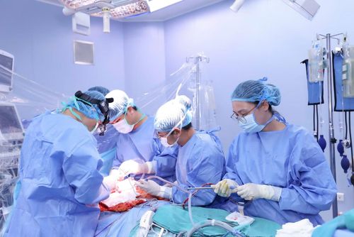 Mỗi ê kíp thực hiện công đoạn của mình một cách tỉ mỉ, cẩn thận và chính xác tuyệt đối