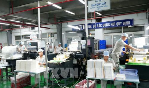 Dây chuyền sản xuất bao bì tại Công ty Cổ phần Sản xuất và Xuất nhập khẩu Bao bì Thăng Long đóng trên địa bàn tỉnh Bắc Ninh đáp ứng yêu cầu của nhiều khách hàng trong và ngoài nước. Ảnh: Đồng Thúy - TTXVN