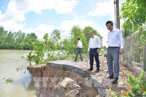 Lãnh đạo Sở Nông nghiệp và Môi trường tỉnh Đồng Tháp khảo sát các điểm sạt lở trên địa bàn. Ảnh: Công Trí - TTXVN