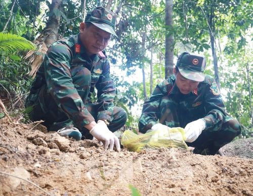 Đội Tìm kiếm, quy tập hài cốt liệt sĩ, Bộ Chỉ huy Quân sự tỉnh Khánh Hòa kiểm tra kỹ từng mẫu đất để tìm kiếm hài cốt liệt sĩ. Ảnh: Xuân Triệu - TTXVN