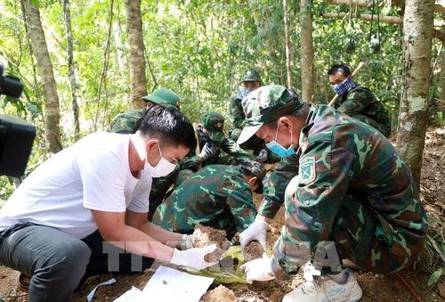 Đội Tìm kiếm, quy tập hài cốt liệt sĩ, Bộ Chỉ huy Quân sự tỉnh Khánh Hòa kiểm tra kỹ từng mẫu đất để tìm kiếm hài cốt liệt sĩ. Ảnh: Xuân Triệu - TTXVN