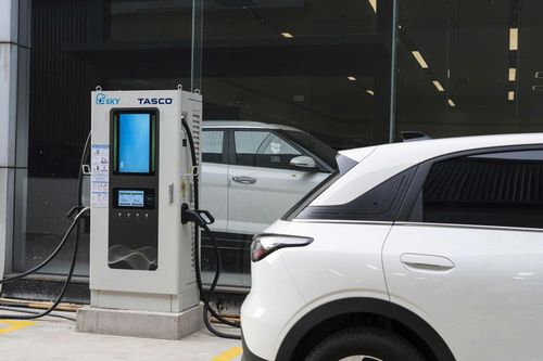 Tasco Auto và Ford đã hợp tác phát triển các điểm sạc chung cho khách hàng.