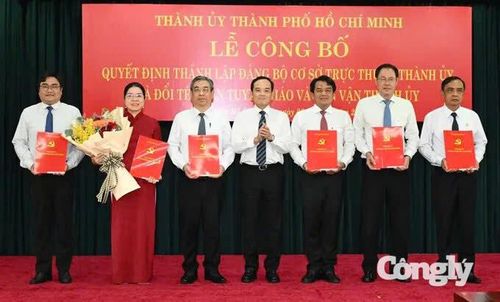 Bí thư Thành ủy TP.HCM Trần Lưu Quang trao quyết định cho Ban Thường vụ Đảng ủy MTTQ, các đoàn thể TP.HCM. Ảnh: Việt Dũng.