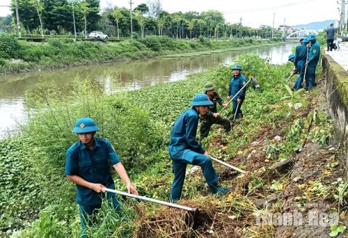 Các lực lượng phát quang cây xanh, bụi rậm hai bên bờ sông.