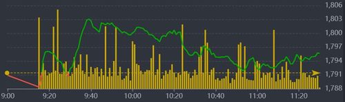 Diễn biến VN-Index sáng nay.