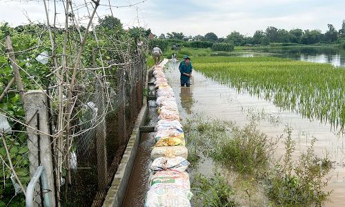 Hệ thống bờ bao ngăn nước hoàn thành góp phần bảo vệ các khu vực trồng cây ăn quả của xã Phúc Hòa.