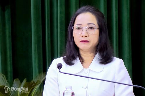 Đồng chí Bùi Thị Minh Thúy, Bí thư Đảng ủy, Chủ tịch HĐND xã Thuận Lợi phát biểu tham luận tại hội nghị.