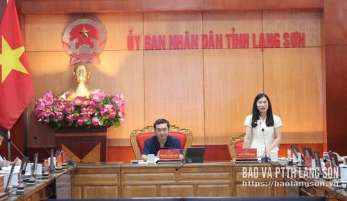 Đồng chí Trần Thanh Nhàn, Phó Chủ tịch UBND tỉnh phát biểu tại cuộc họp