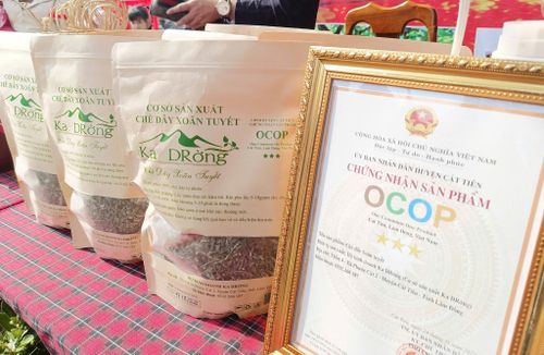 "Chè dây xoăn tuyết Ka Drờng" được chứng nhận sản phẩm OCOP 3 sao năm 2023 (Ảnh tư liệu)
