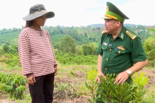 Cán bộ Đồn Biên phòng Đắk Dang thăm hỏi, chia sẻ cách chăm sóc vườn mắc ca của chị Điểu Thị Hớn