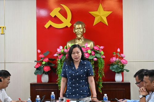 Tỉnh ủy viên, Phó Chủ tịch HĐND tỉnh Nguyễn Thị Thuận Bích chia sẻ những khó khăn các trạm y tế đang gặp phải