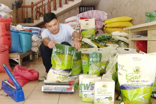 Sản phẩm gạo Phù Yên được đóng gói đầy đủ tem nhãn truy xuất nguồn gốc.
