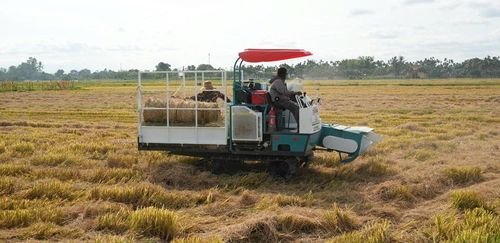 Máy cuộn rơm trên cánh đồng xã Đan Điền.