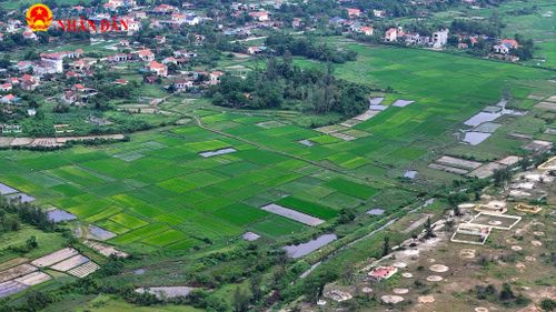 Trên đảo Vĩnh Thực, nhiều diện tích đất được trồng lúa, cây ăn quả...